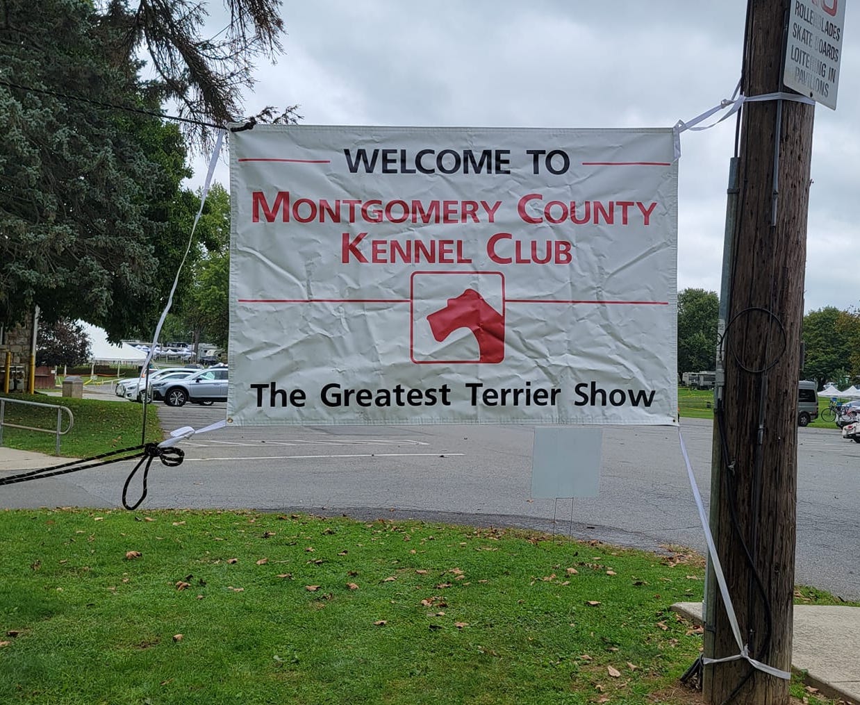 One-of-a-Kind Montgomery